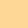 Neon Orangesicle