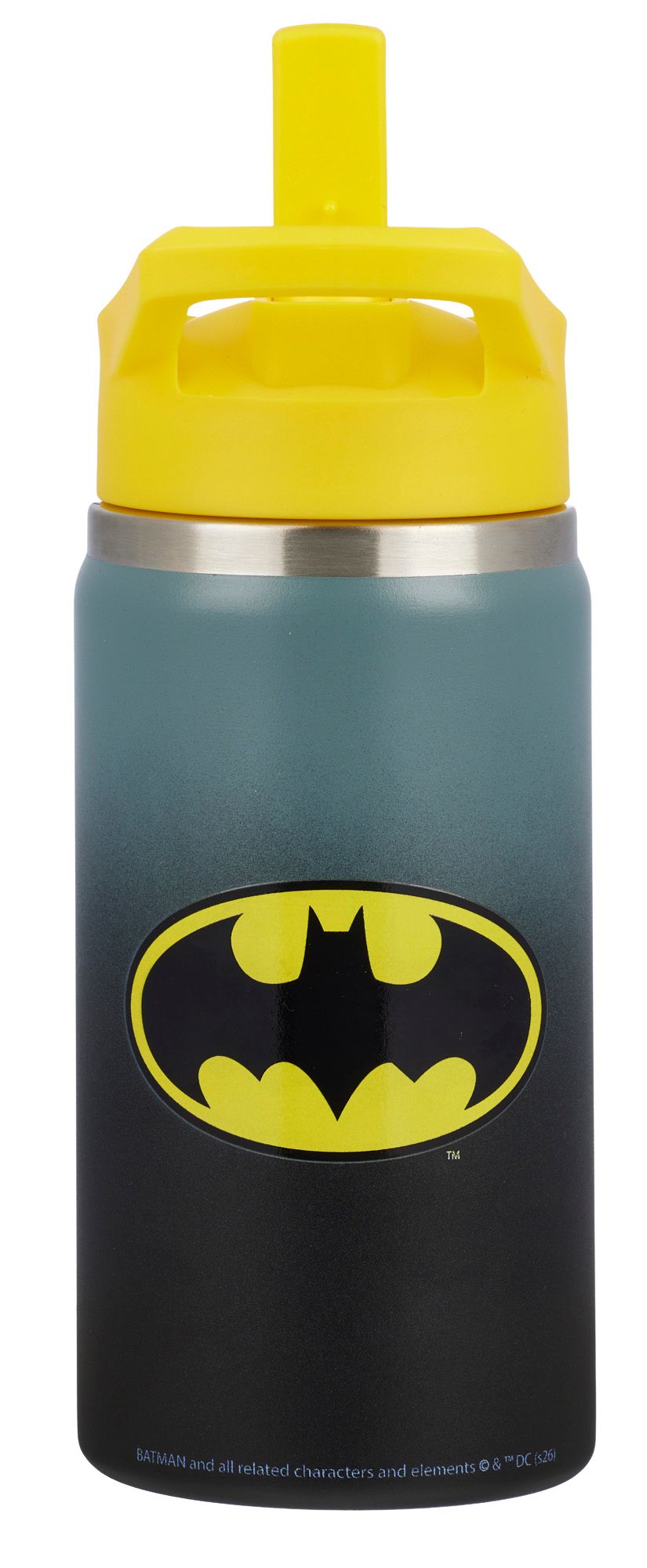 DC x DSG 12oz. Stainless Steel Bottle