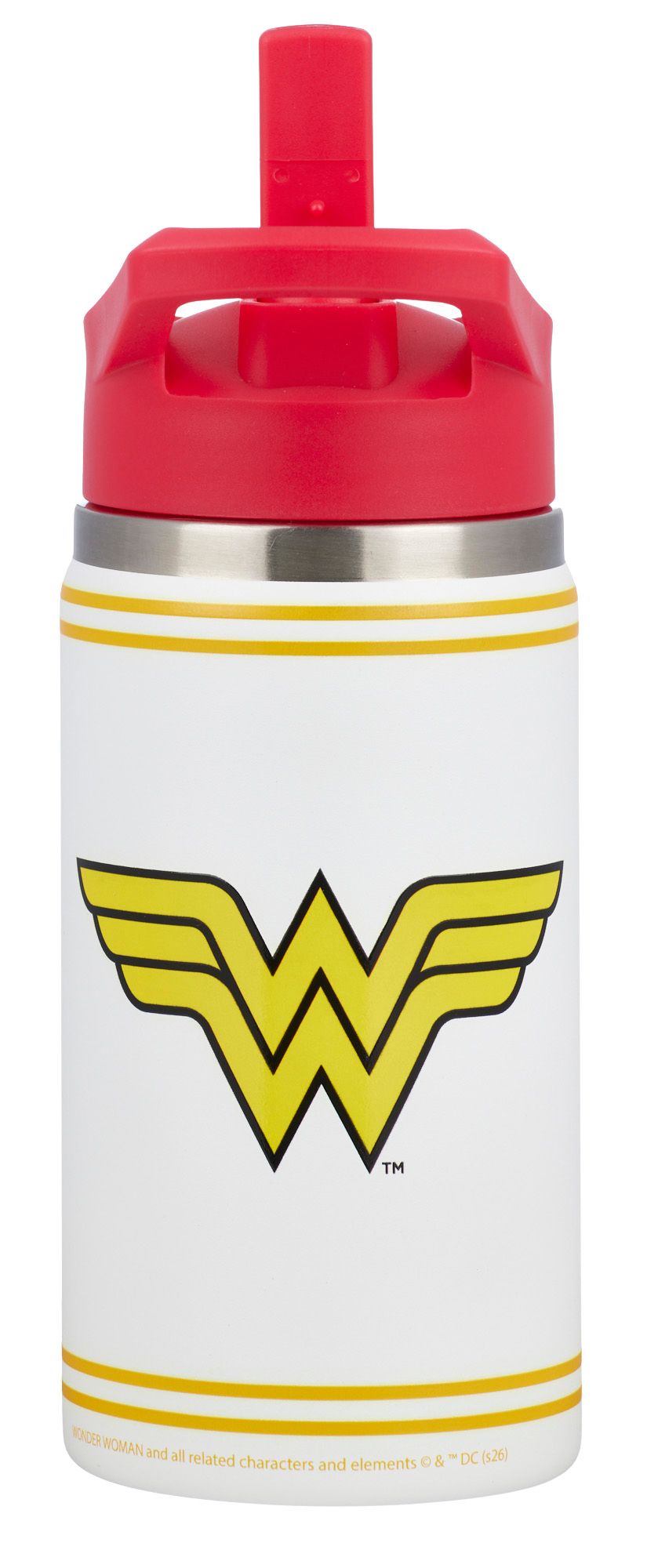 DC x DSG 12oz. Stainless Steel Bottle