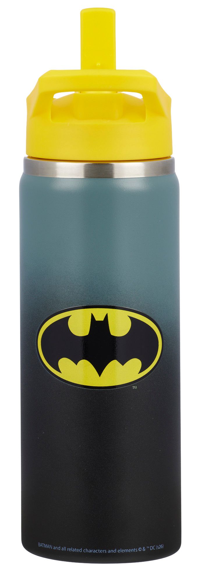 DC x DSG 17oz. Stainless Steel Bottle