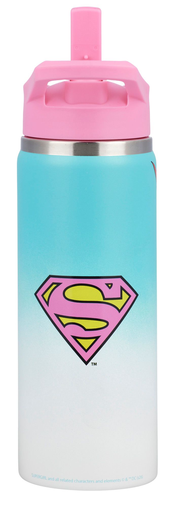 DC x DSG 17oz. Stainless Steel Bottle