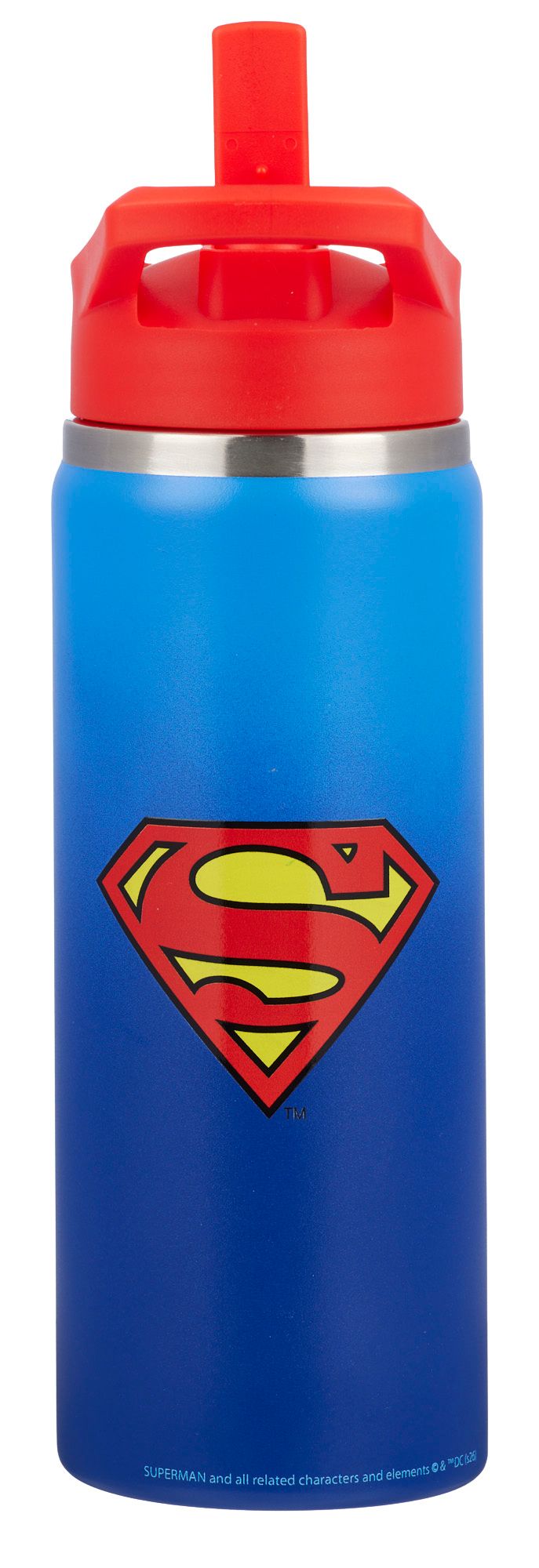 DC x DSG 17oz. Stainless Steel Bottle