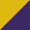 Yellow/Purple