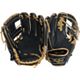 Navy/Gold