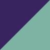 Purple/Mint