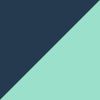 Navy/Mint