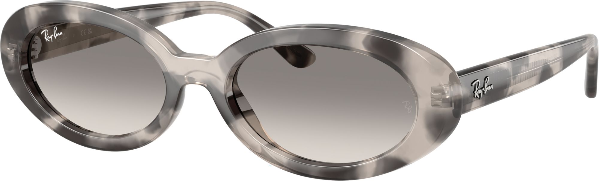 Ray-Ban RB2223 Sunglasses