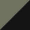 Shiny Black/Green
