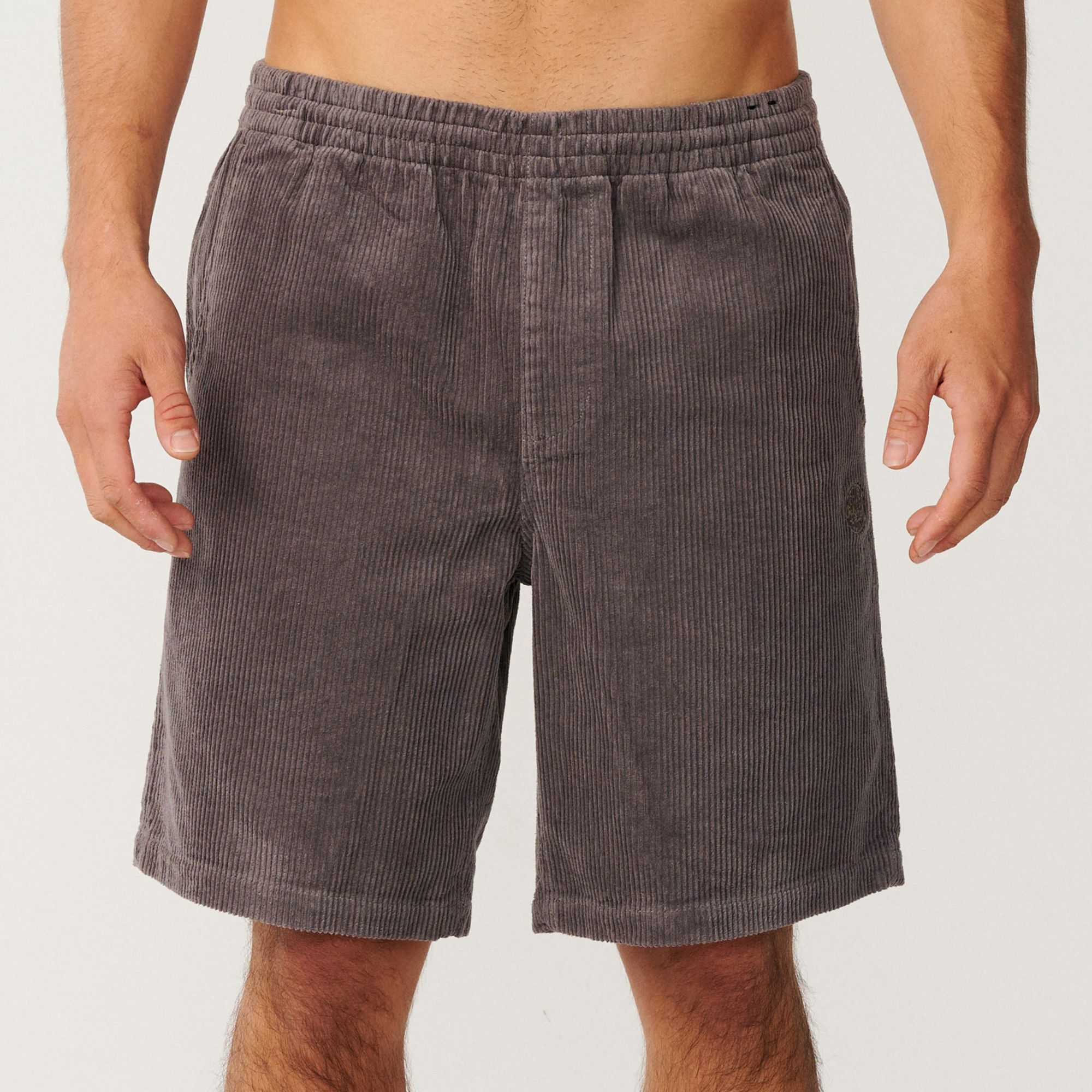 Rip Curl Men's Premium Surf Cord Volley Swim Shorts