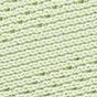 Matcha Green