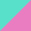 Mint Green/Shock Pink