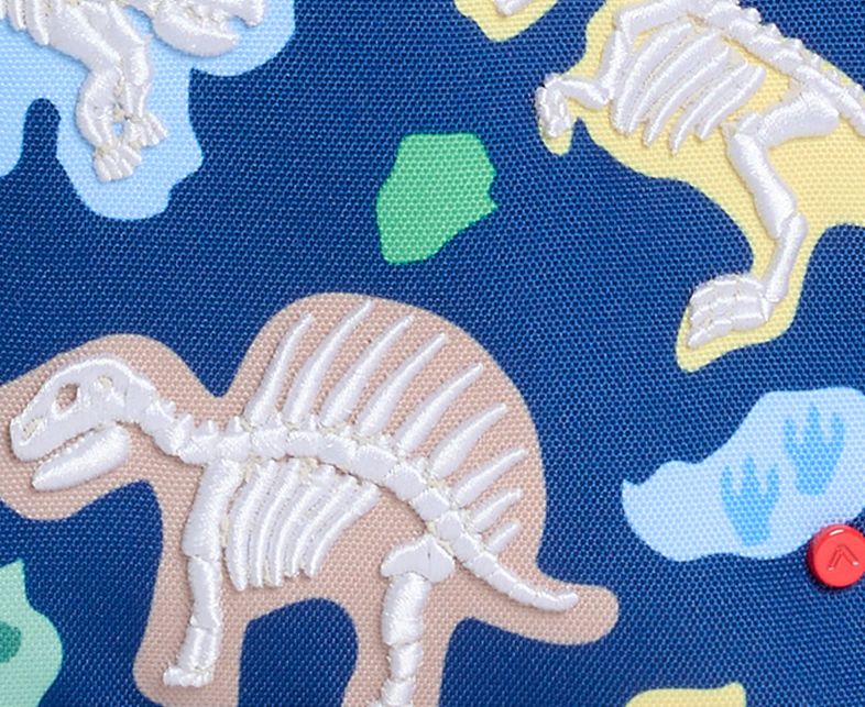 Dino Fossils