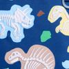 Dino Fossils