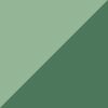 Dried Pine Blur