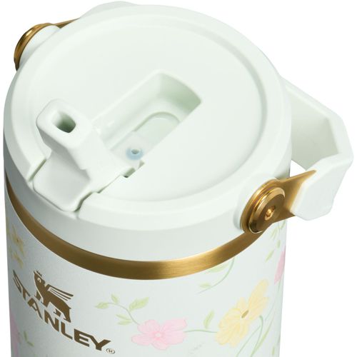 Bouteille Isotherme Stanley IceFlow 2.0 – 36 Oz (0,7L) – Paille Rabat – Polar