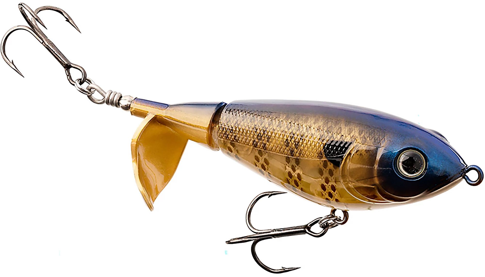 Bluegill