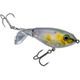 Clearwater Minnow