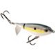 Sexy Shad