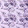 Lavendar