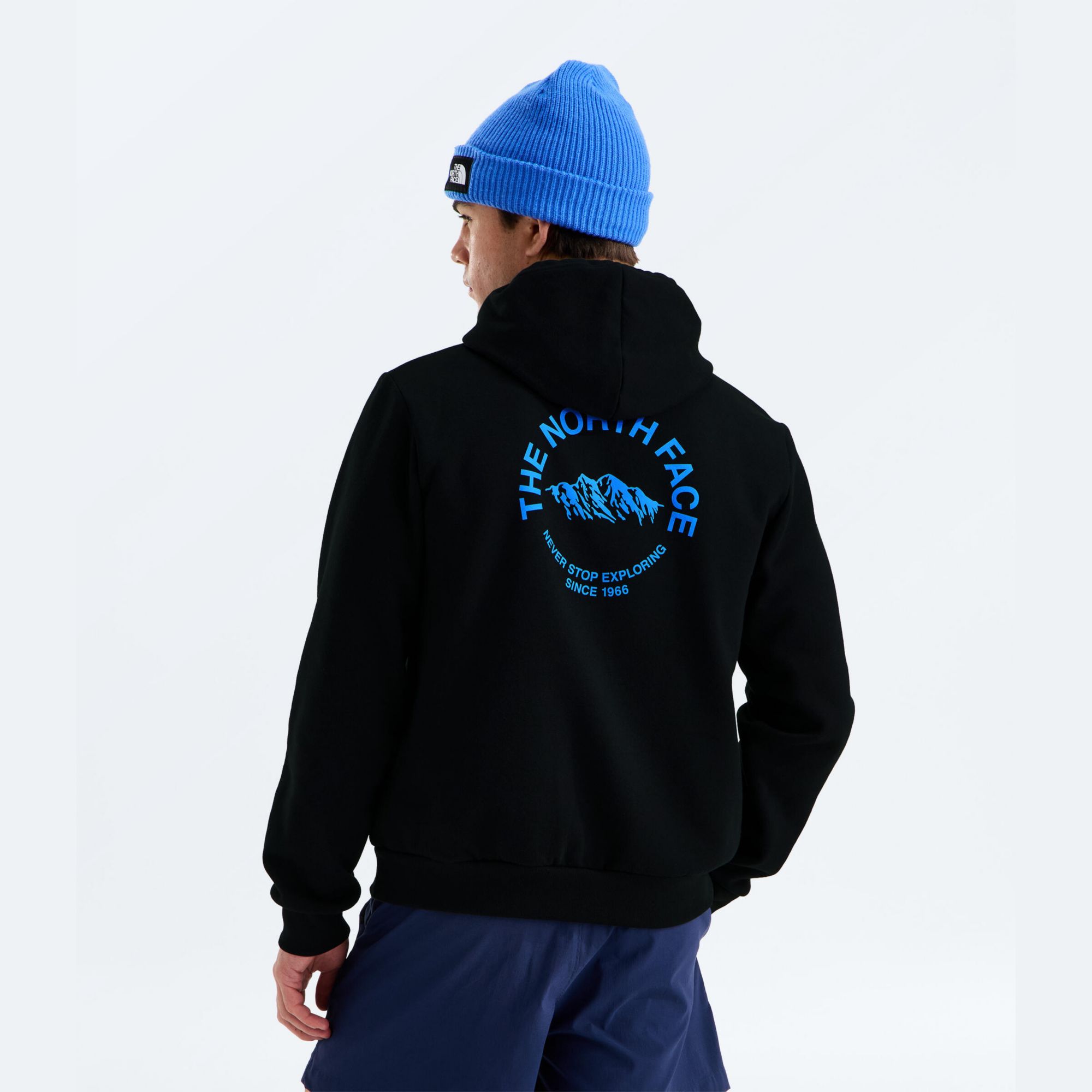 The North Face Men's Evolution NSE Hoodie