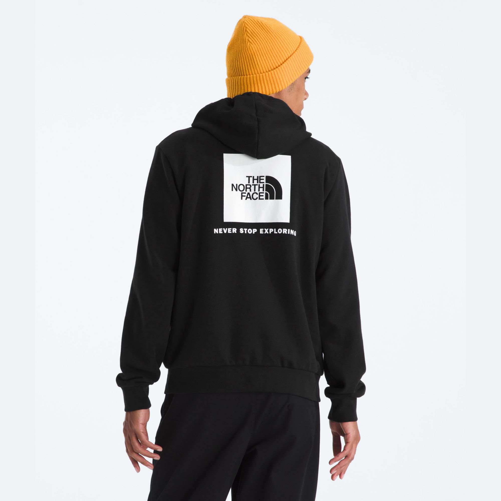 The North Face Men's Evolution Box NSE Regular Hoodie