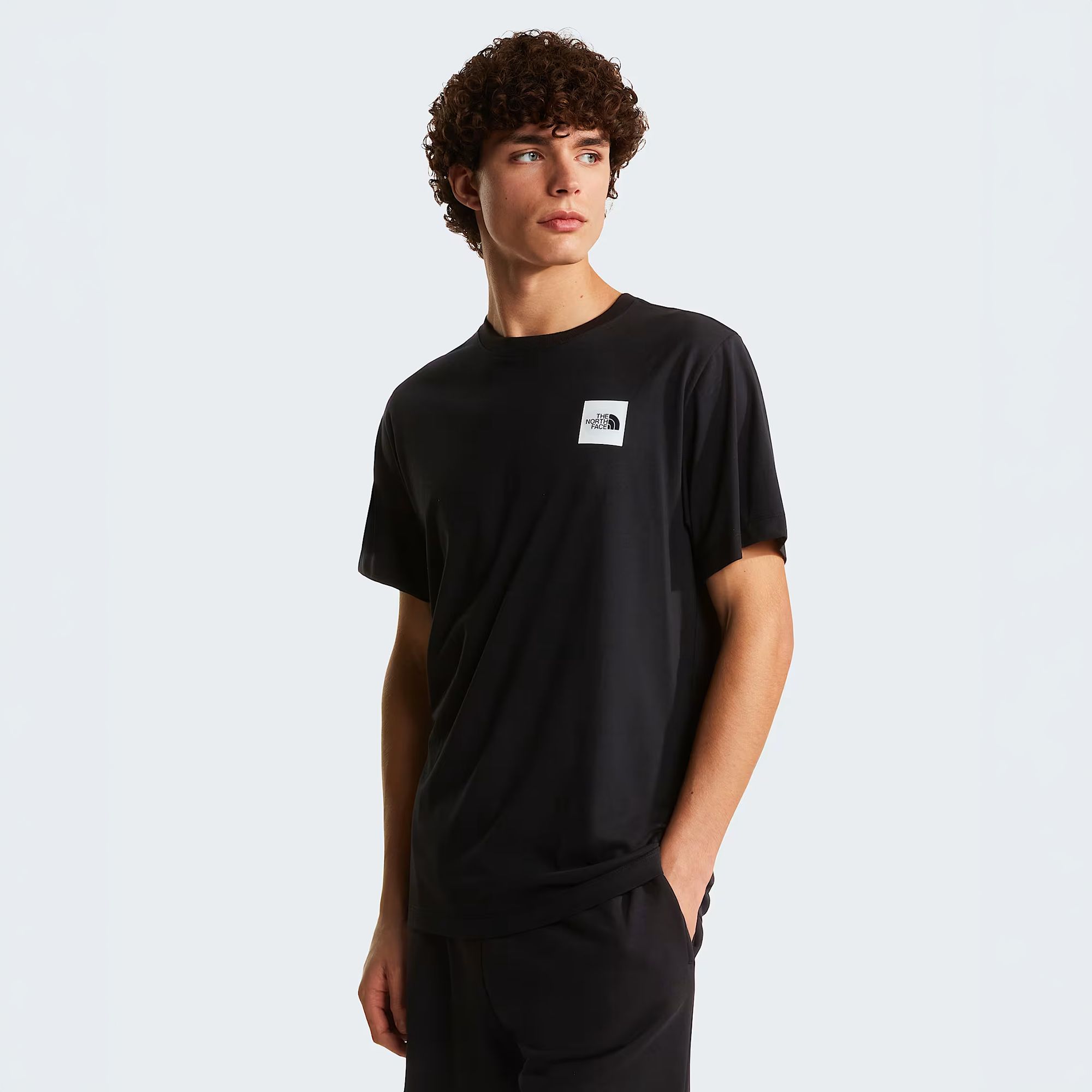 The North Face Men's Evolution Half Dome Box Short Sleeve T-Shirt