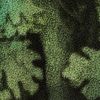 New Taupe Green Yosemite Oak Print