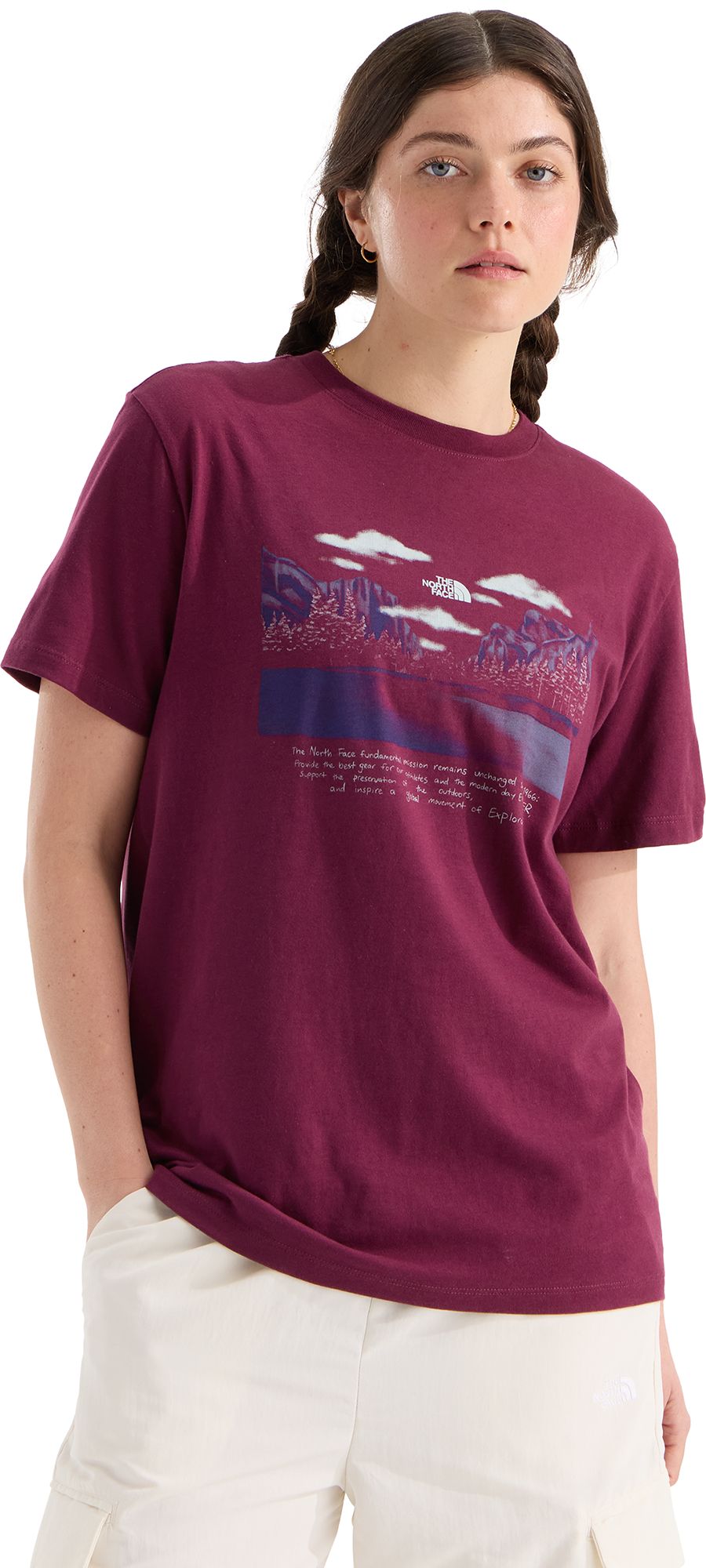 The North Face Women's Evolution Mountain Oasis Relaxed Short Sleeve T-Shirt