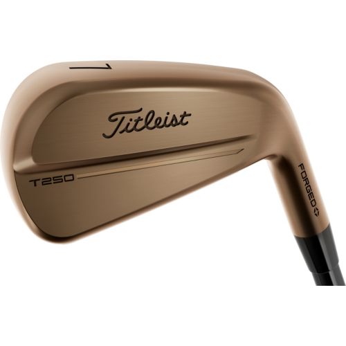 Titleist 620 CB Irons – (Steel) | Dick's Sporting Goods