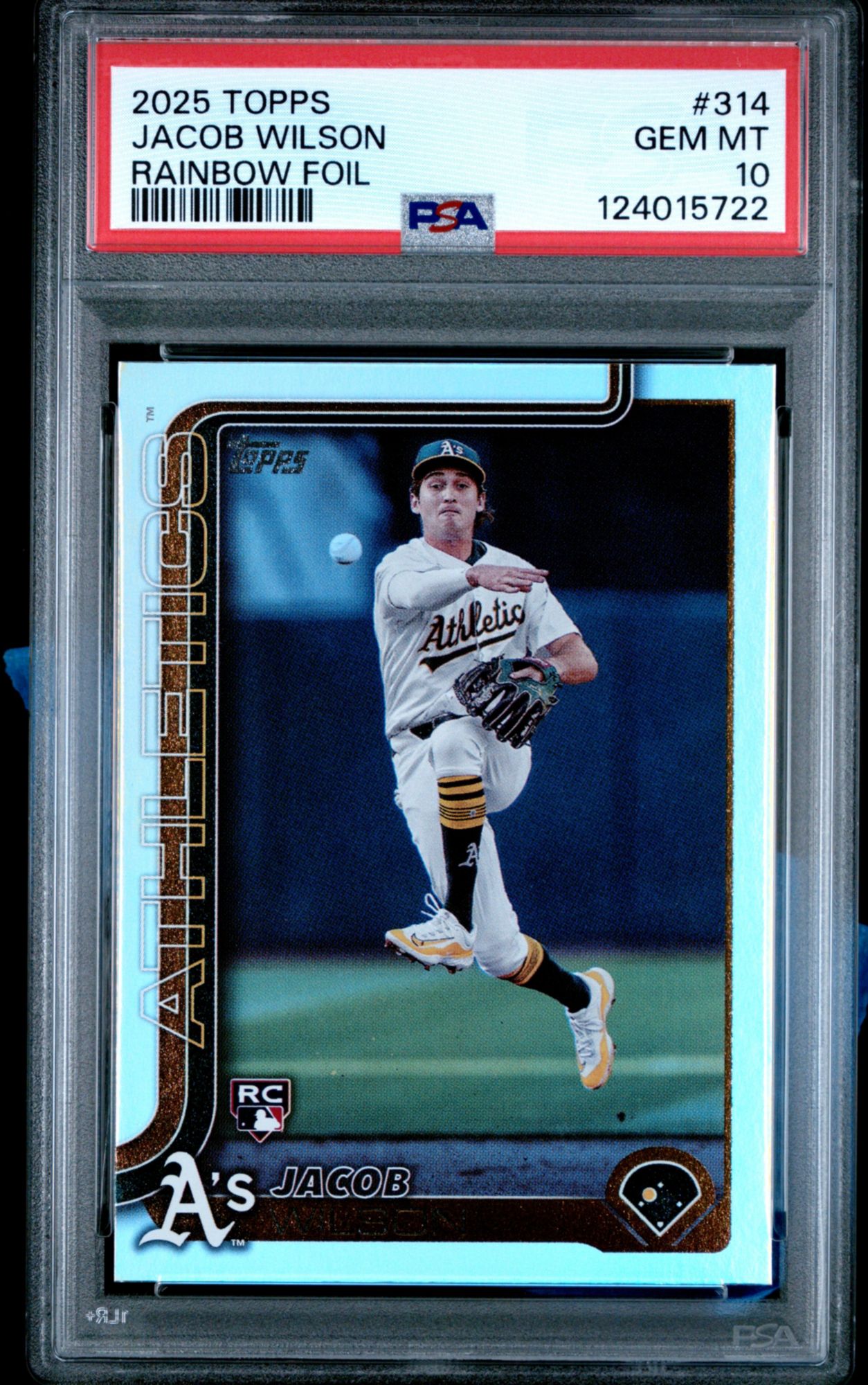 Topps Baseball Cards