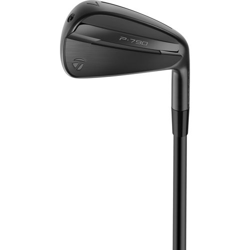 TaylorMade 2021 P790 Irons | Golf Galaxy