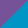 Purple/Multi