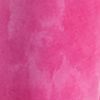 Pink Frenzy/Black