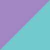 Purple/Blue