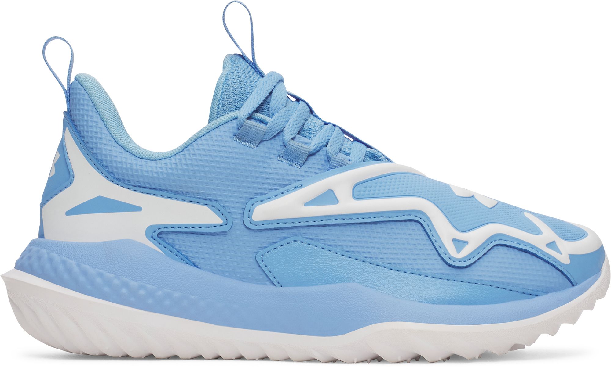 Blue/White