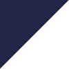 Navy/Silver