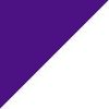 Purple/Silver