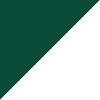 Forest Green/Silver