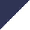 Navy/Silver