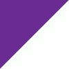 Purple/Silver
