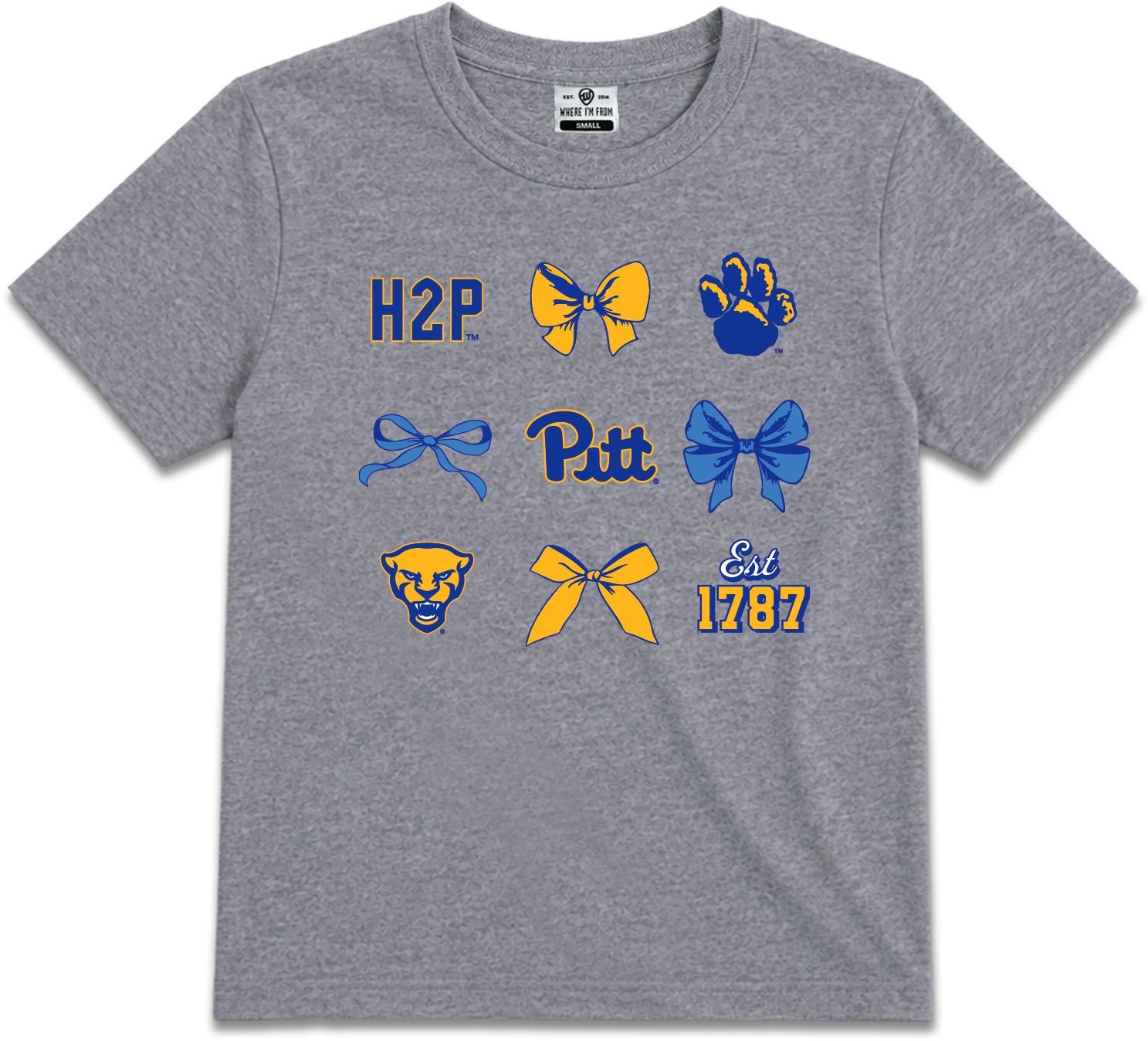 Where I'm From Youth Pitt Panthers Icons T-Shirt