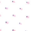 Mini Usa Flag White