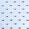 Carolina Convo Blue
