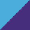 Purple/Blue