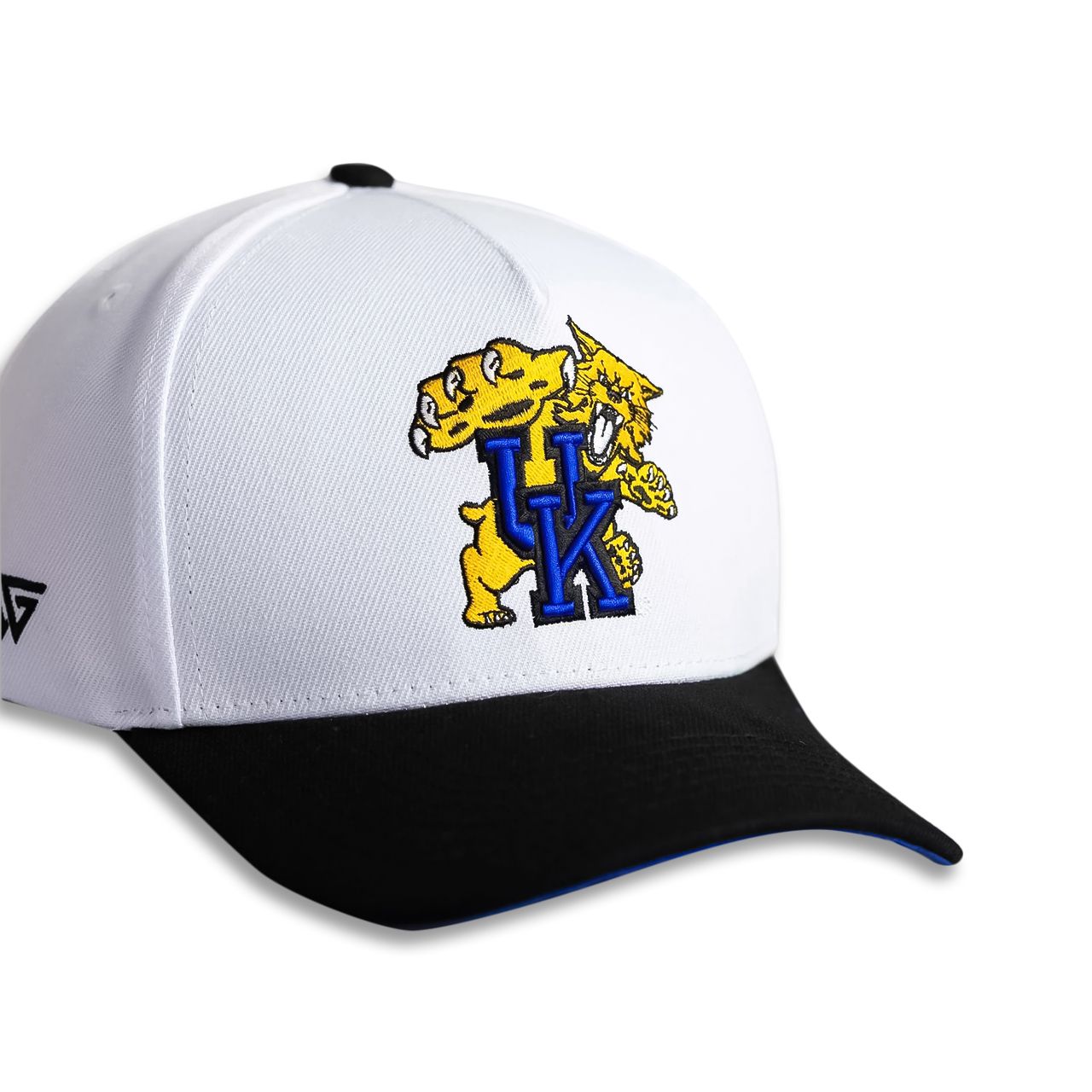 Woodn Grail Adult Kentucky Wildcats Color Splash Snapback Adjustable Hat, Women's