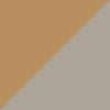 Legacy Sahara