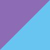 Pace Purple/Blue