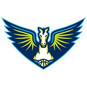 Dallas Wings