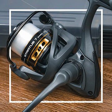 Reels