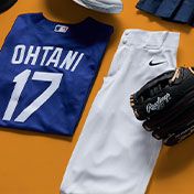 MLB Costume